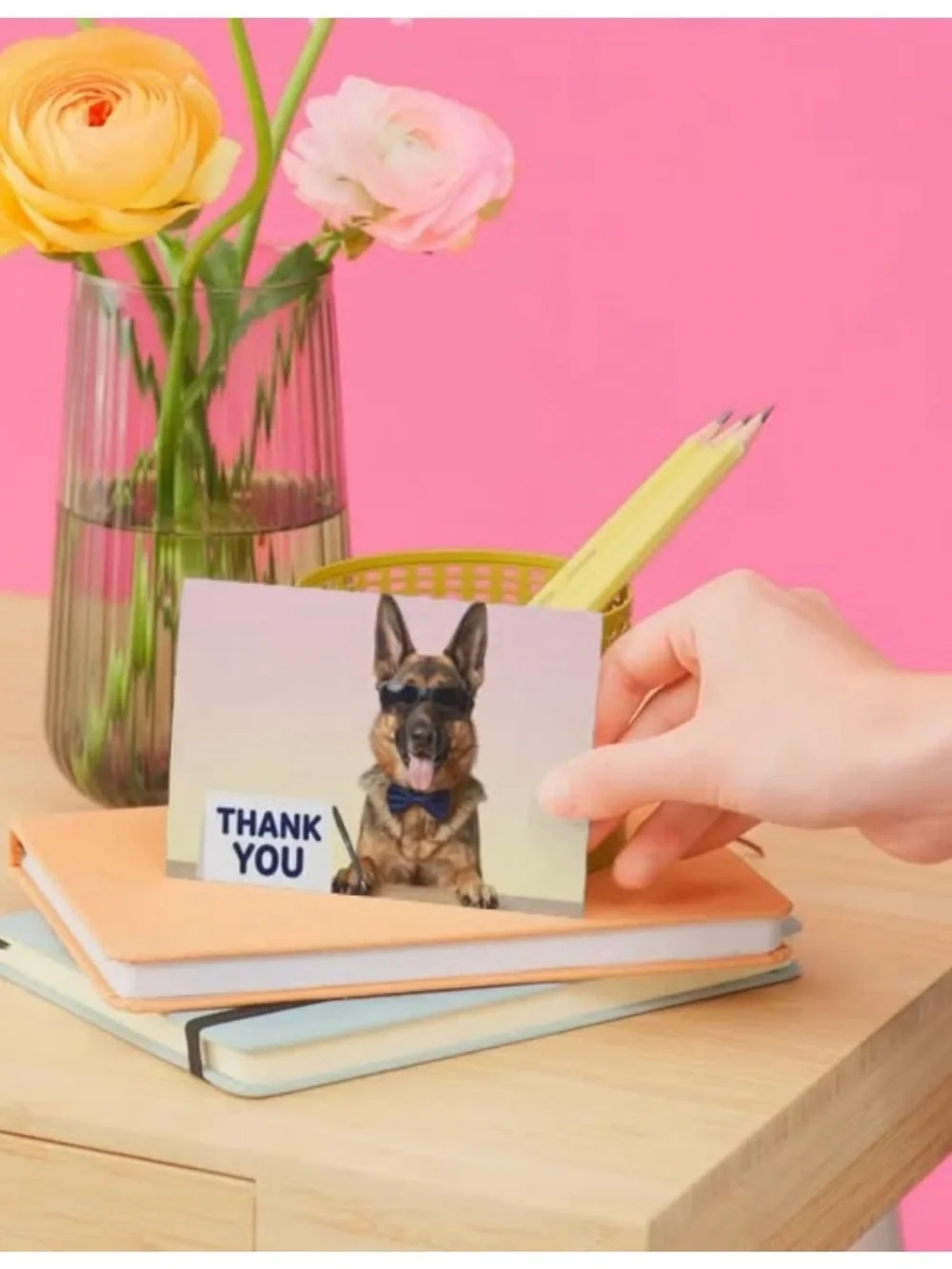 Funny German Shepherd Thank You Cards Set of 15 4x6 Dog Cards with Envelopes